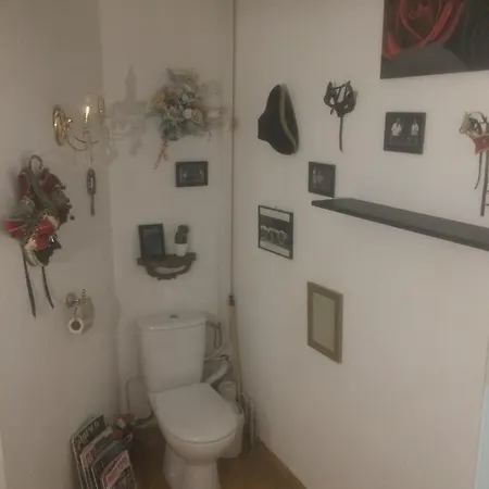 La Maisonnette Et Sa Petite Cour *